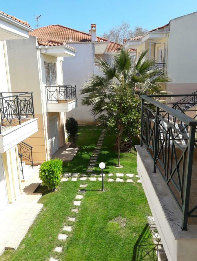 Olive Apartment